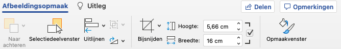 bijsnijden optie word